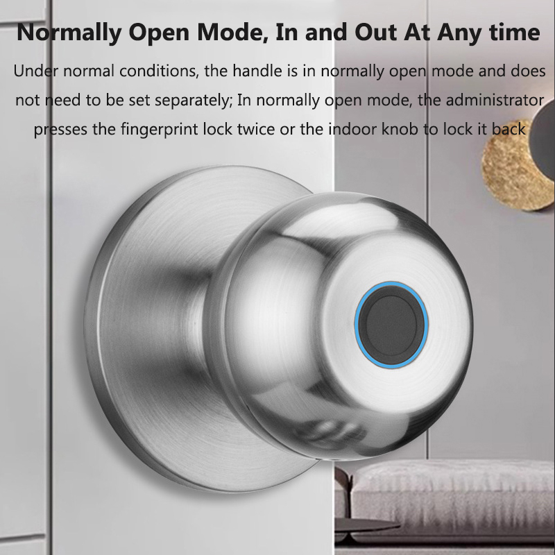 Tuya Door Lock Smart Fingerpri - Smart Home Lock ulasan dan harga