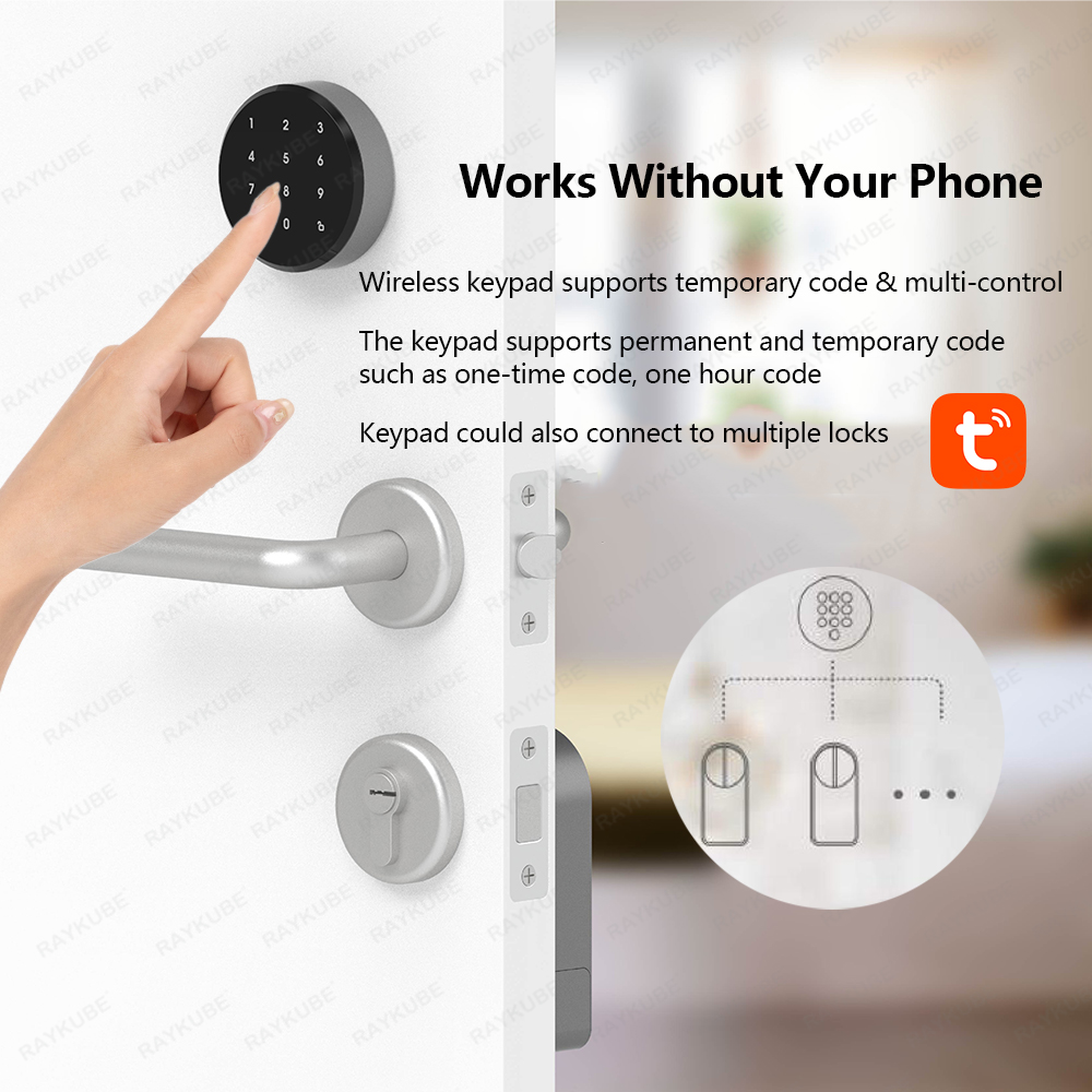 RAYKUBE A1 Pro Tuya BEL Smart  - Smart Home Lock ulasan dan harga